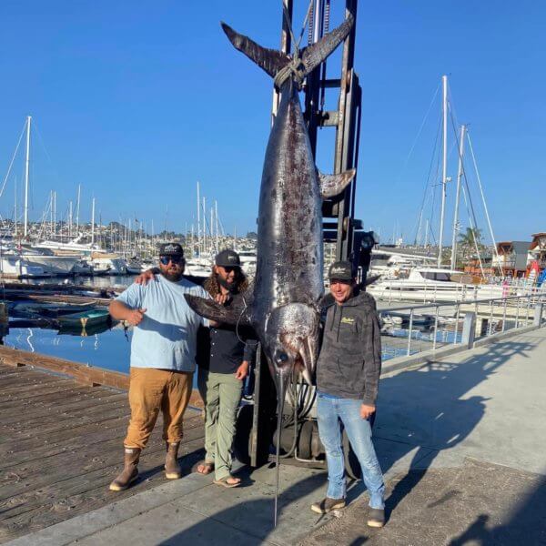 swordfish fishing san diego